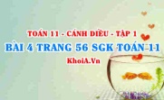 Bài 4 trang 56 SGK Toán 11 tập 1 Cánh Diều